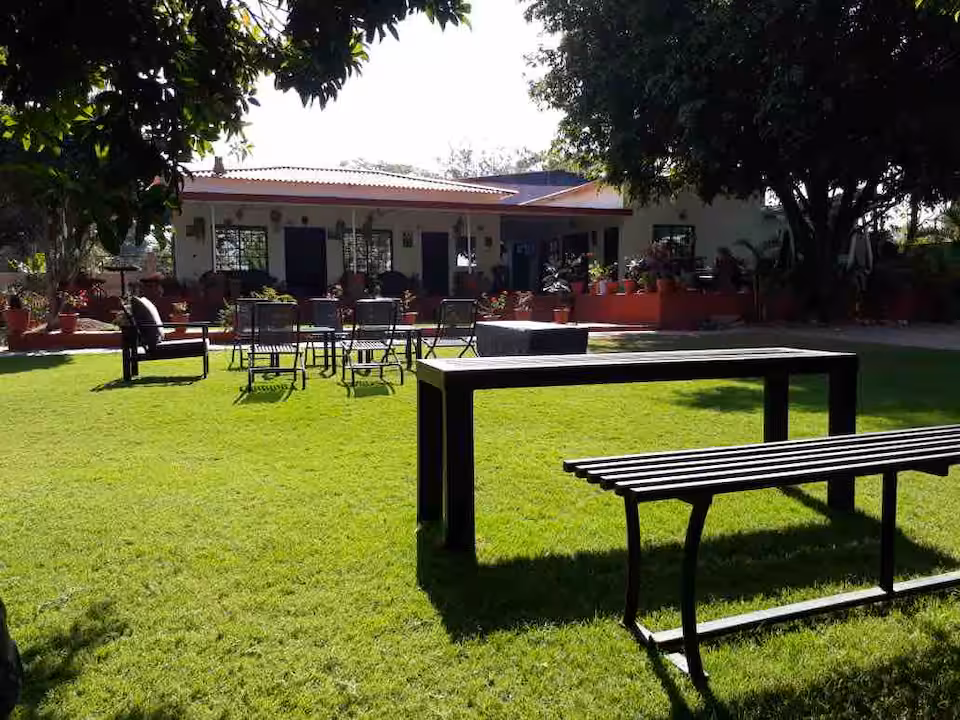 Ambi Farm
